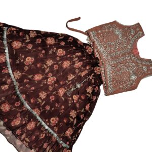 Kasmim Lengha Choli , size 20/24